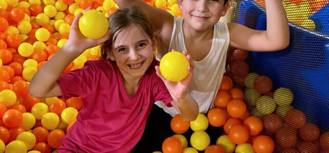 Tobebox 2019 Tobebox 2019