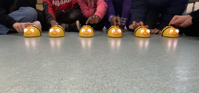 BeeBots BeeBots